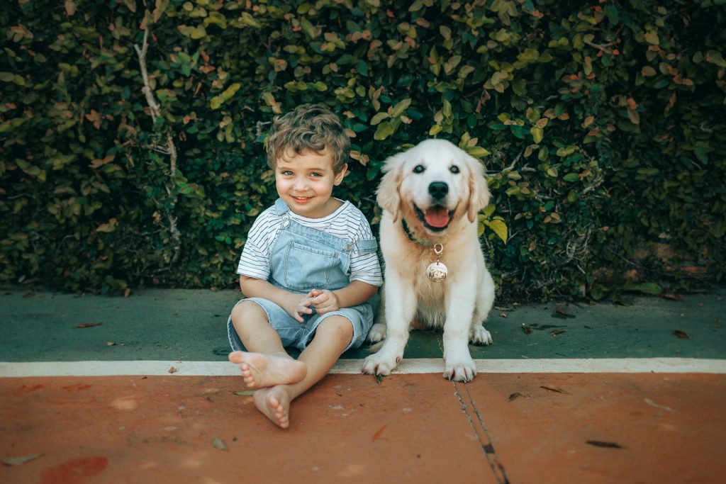 Should Your Child Get a Pet? Where a Child Psychologist in Dubai Fits In